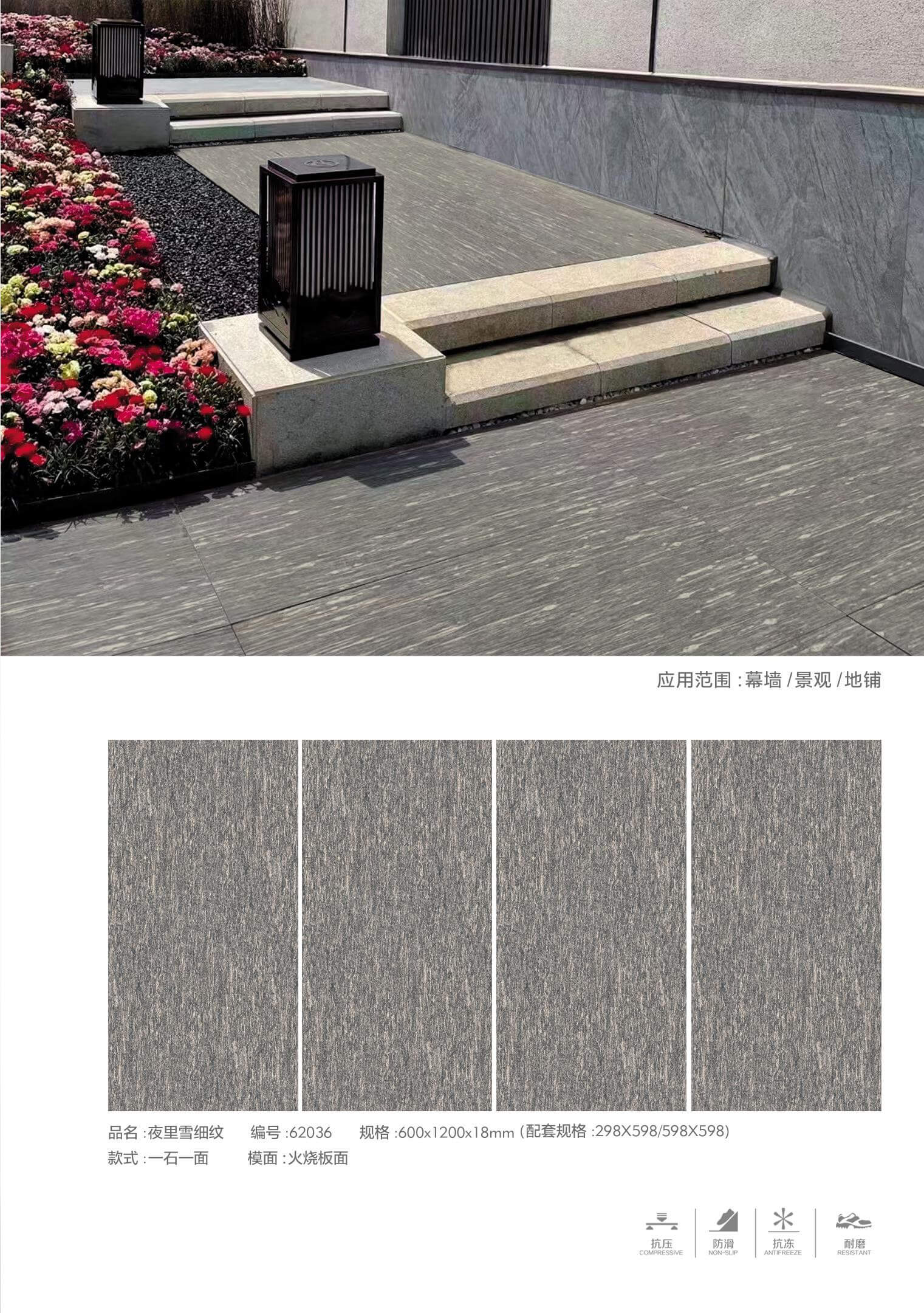 62036 夜里雪细纹